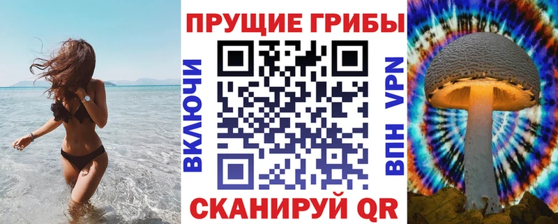 Псилоцибиновые грибы Psilocybe  Купить  Изобильный 
